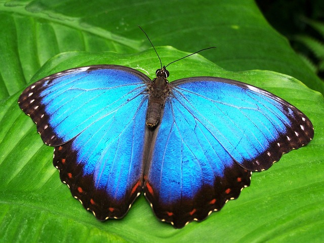 Image 92